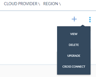 Dedicated cloud connection overflow menu