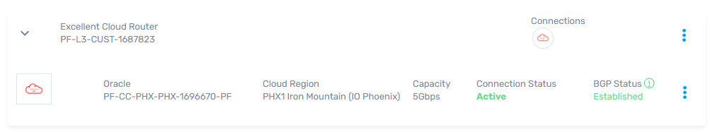 Screenshot of Oracle Cloud Router connection